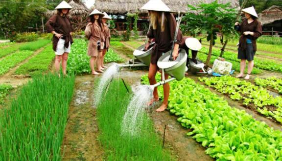 Ri'S House Hoi An Homestay Zewnętrze zdjęcie